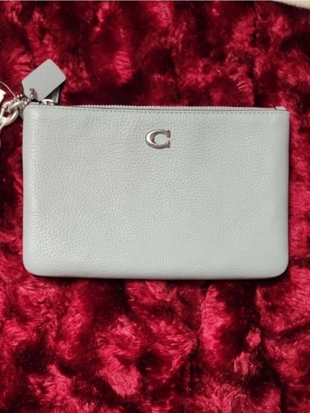 Brand New With Tags Leather Women’s Coach Wristlet.